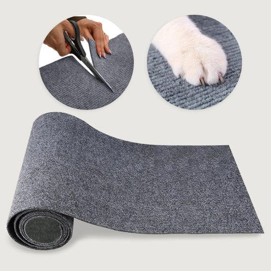 Scratch Shield